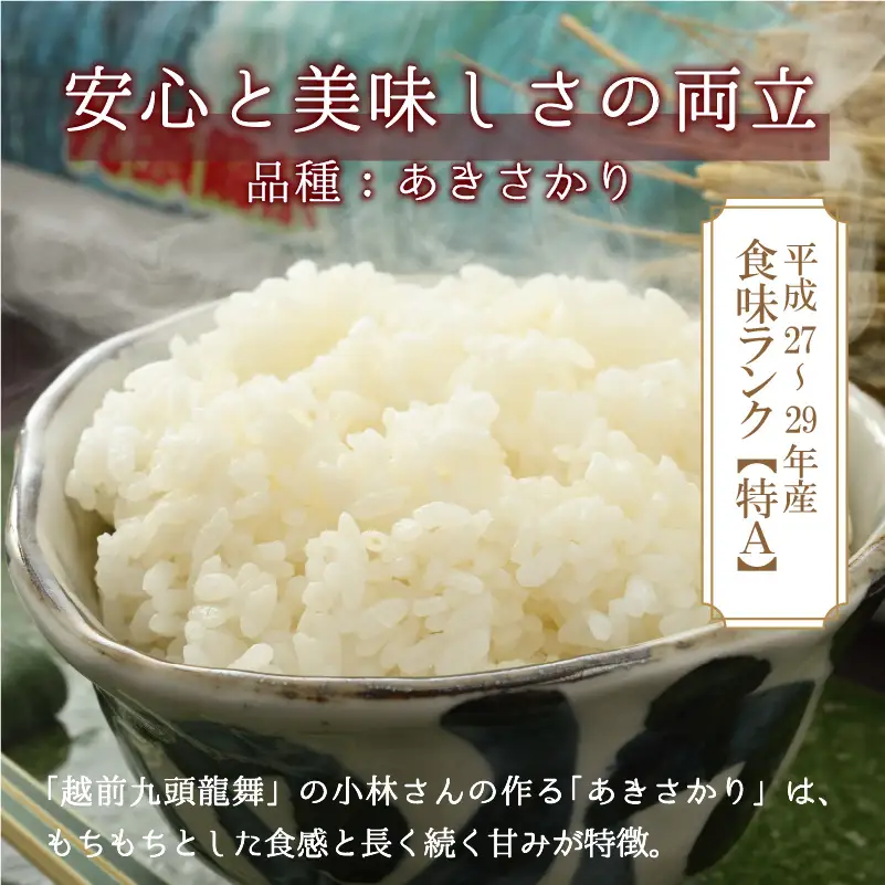 米 越前九頭龍舞 精米 5kg 令和8年産 米