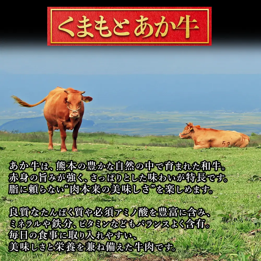 GI認証 くまもとあか牛 サイコロ ステーキ 400g