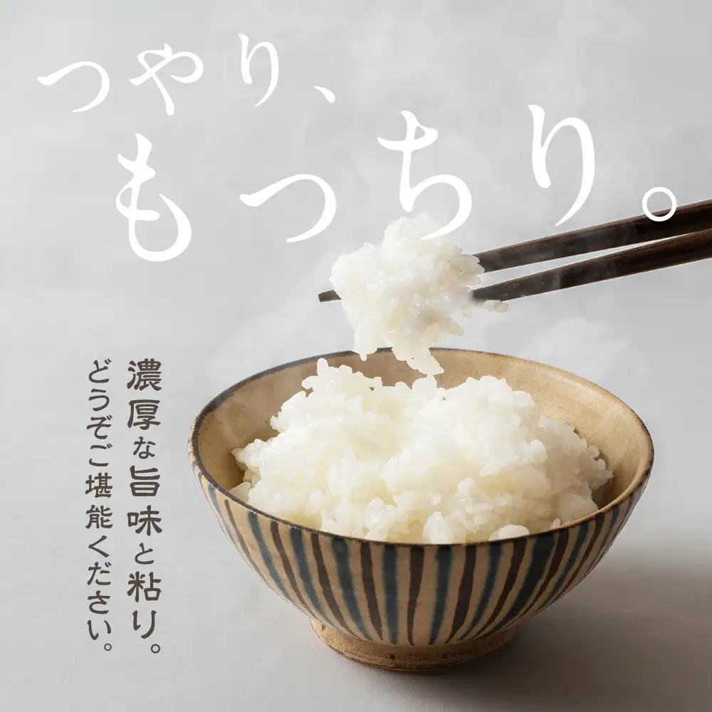 【定期１２回】ハッピーライス 15kg (5kg×3袋) × 12回 コシヒカリ ｜ 白米 こしひかり 精米　JQ105