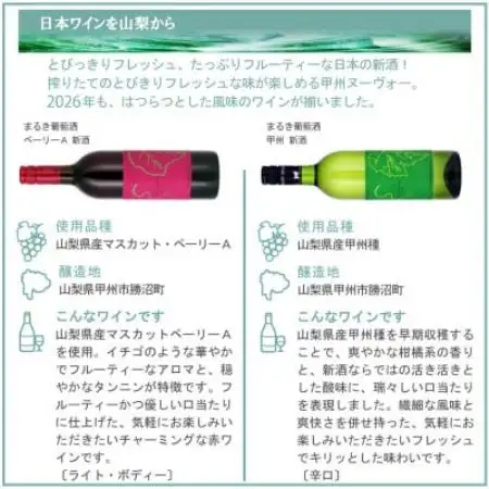 山梨の新酒 2026 飲み比べ 6本セット【配送不可地域：離島】【1661965】