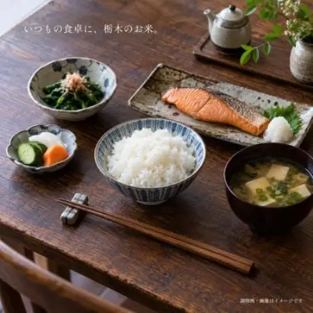 【令和8年産】栃木県産 コシヒカリ 白米 20kg(5kg×4袋)【2000206】