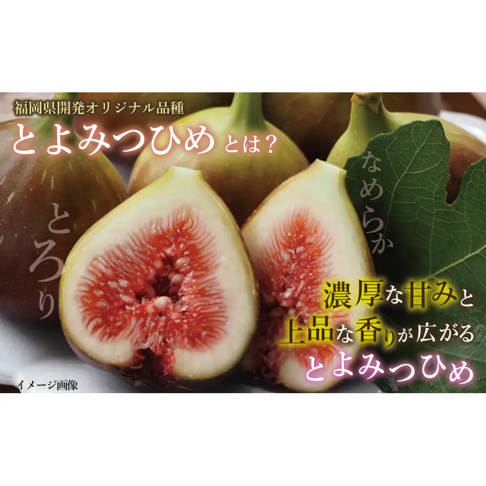 【定期便3回】【先行予約】【福岡限定ブランド】いちじく とよみつひめ 300g×4パック (約1.2kg)※2027年8月以降発送
