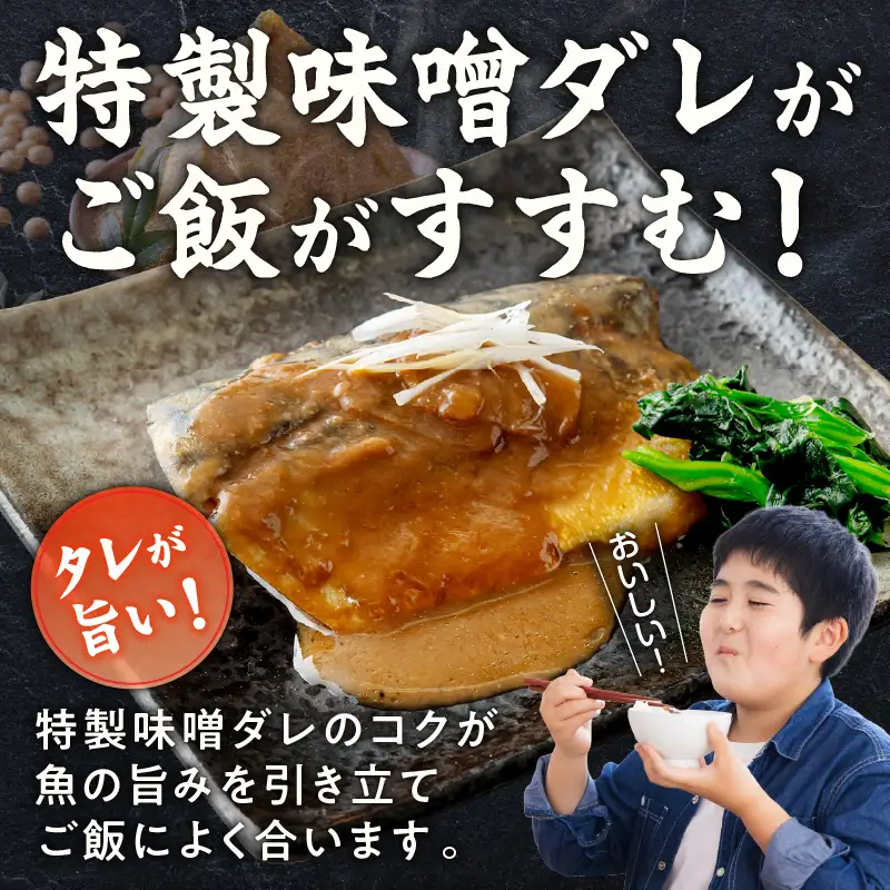 【先行予約】サバの味噌煮 10食 合計800g