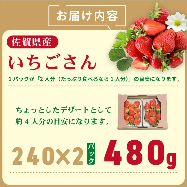 【先行予約】令和9年1月中旬ごろより出荷開始予定 不揃い粒の いちごさん 480g（240g×2P）江島農園 A075-039