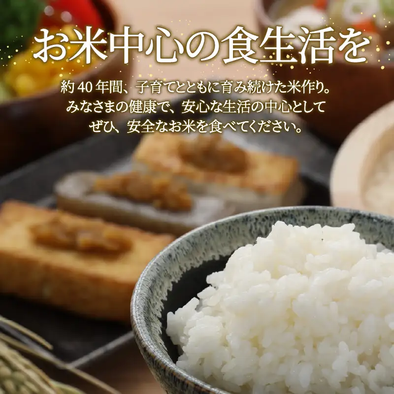 コシヒカリ 2kg 里芋 2kg セット コシヒカリ