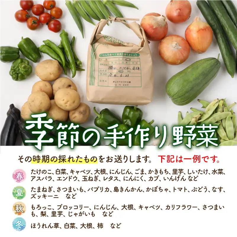 コシヒカリ 2kg 季節の野菜 5～10種類 セット コシヒカリ