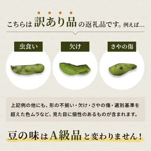 枝豆 訳あり【予約】丹波黒枝豆 1kg 枝豆