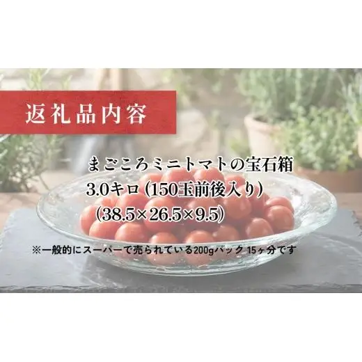 まごころ ミニトマト の 宝石箱 3.0kg (150玉前後)