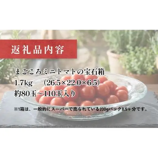 まごころ ミニトマト の宝石箱 1.7kg（約80～110玉）サンチェリーピュア