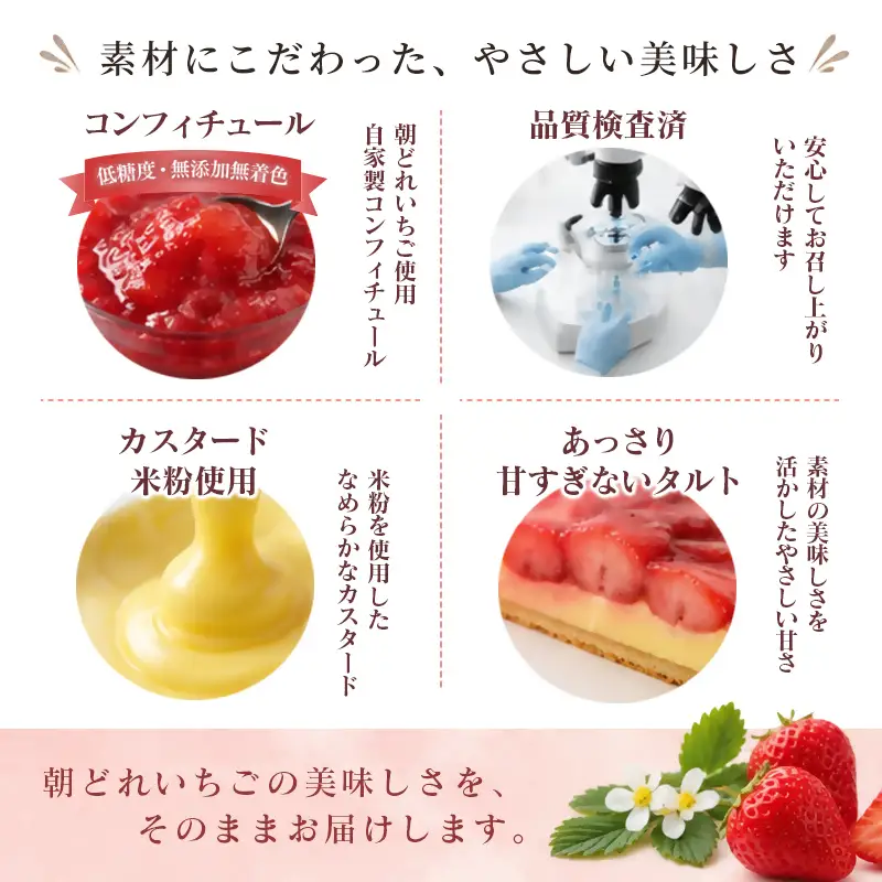 【お歳暮ギフト】苺大野屋　やよいひめ　苺タルト 6号サイズ　自然栽培苺　イチゴ　いちご＜28-8a＞