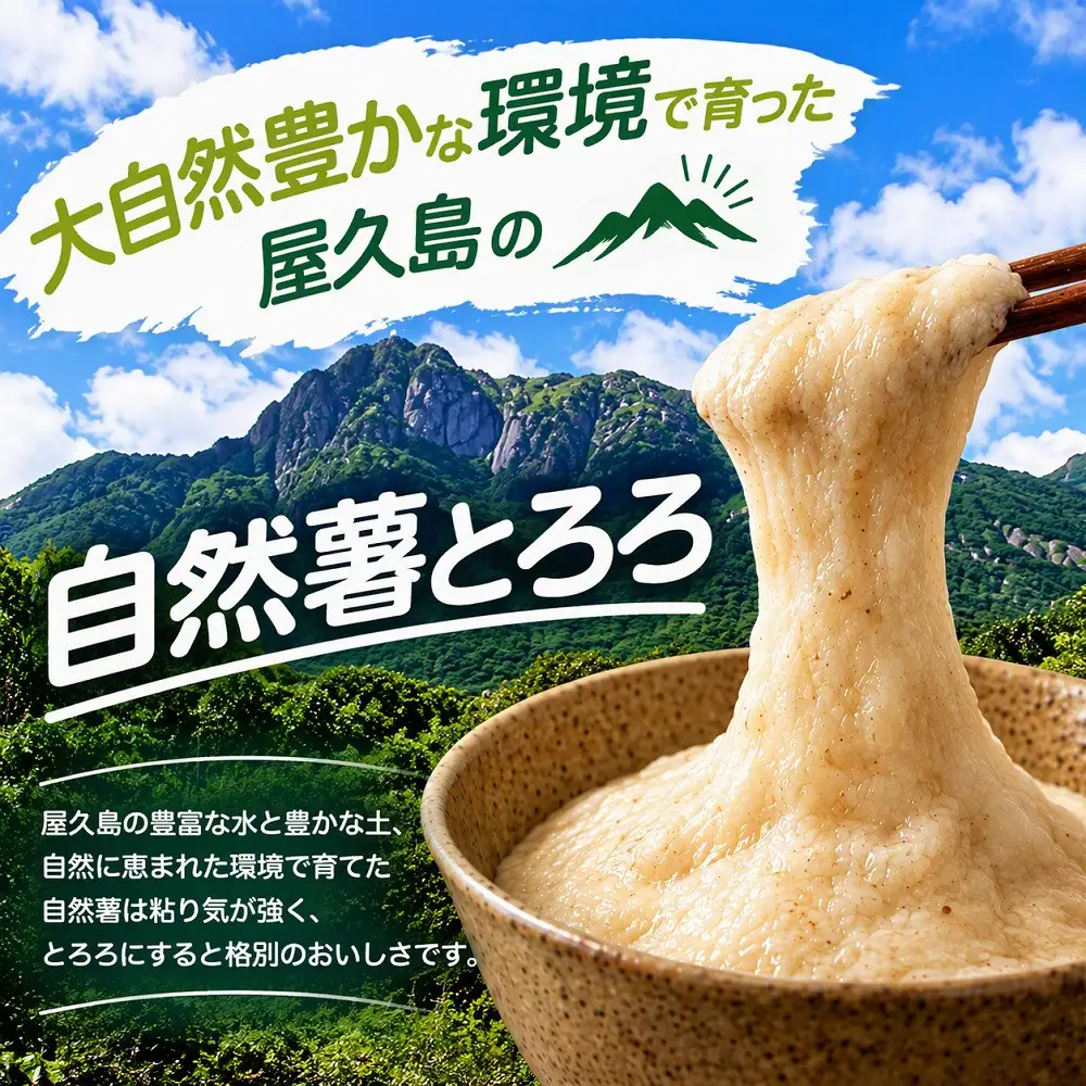 【相良パーティ】屋久島産自然薯600g【2026年12月下旬以降発送】