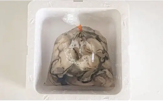 【2月後半発送予定】大和田家の牡蠣 『むき身牡蠣』 約1kg(500g×2袋) 加熱用 【 かき カキ 牡蠣 三陸 広田湾 濃厚 むき身 】RT3322-2-2