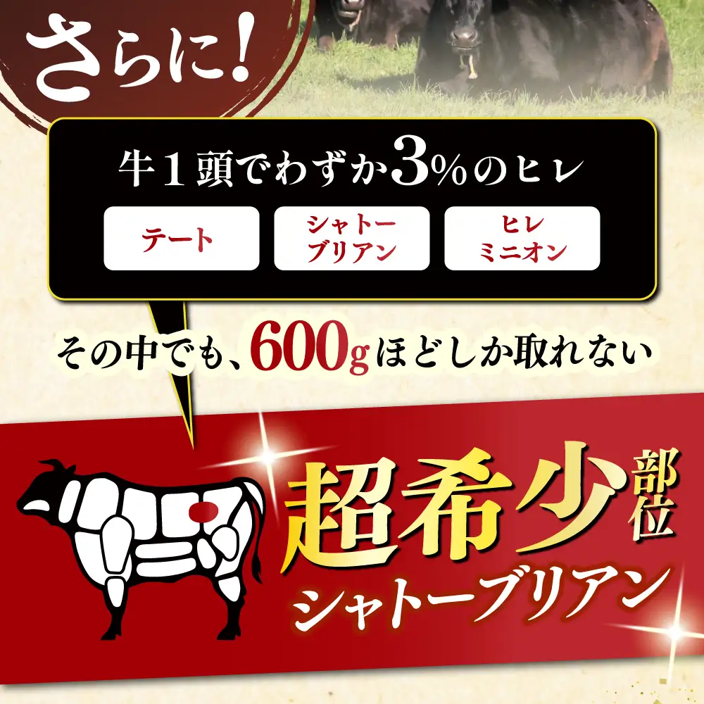 博多和牛 ヒレ シャトーブリアン 150g × 2枚 [ABCL179] ヒレ肉