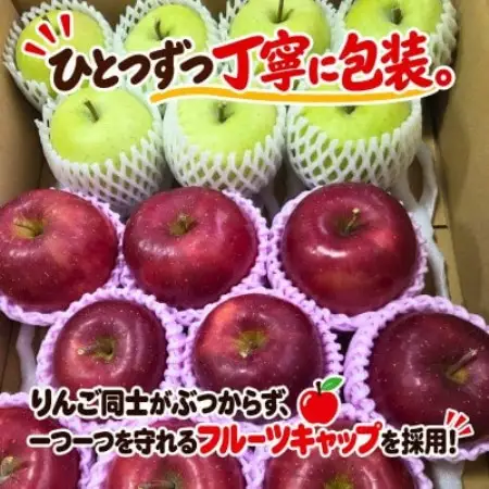 【青森産】 もぎたてりんご 3kg(7～12玉)【訳あり・家庭用】【配送不可地域：離島・沖縄県】【2002990】