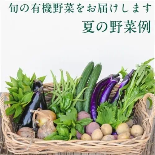 【毎月定期便】オーガニックビレッジ・有機農業の会、「有機野菜セット」(Lセット)、全12回【配送不可地域：離島・北海道・沖縄県・四国・九州】【4094426】
