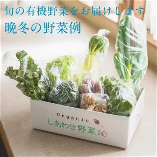 【毎月定期便】有機野菜(Lセット)6回便/有機JAS認証・有機農業の会・オーガニック掛川・全6回【配送不可地域：離島・北海道・沖縄県・四国・九州】【4094427】