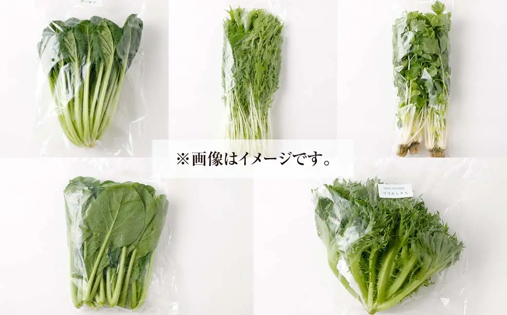 水耕 栽培 新鮮 葉物 野菜 Aセット GreensFarm ホタル サラダ 和え物 M06S22【2026年11月上旬～2027年6月上旬発送予定】