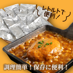 宮崎県産豚 自社ブランド「季じょん山豚」 レトルトハンバーグカレー9パック_K16_0042_4