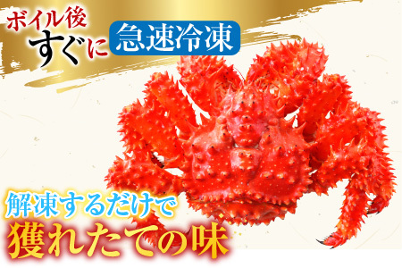 【北海道根室産】花咲かに300g前後～450g前後×4尾 A-36001