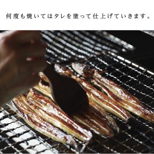 穴子 先行予約 山銀商店 かば焼き あなご (合計約300g) 
