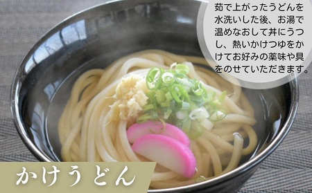讃岐うどん 半生 太麺 紀州屋 香川県産 讃岐うどん【30人前(3人前×10袋)】