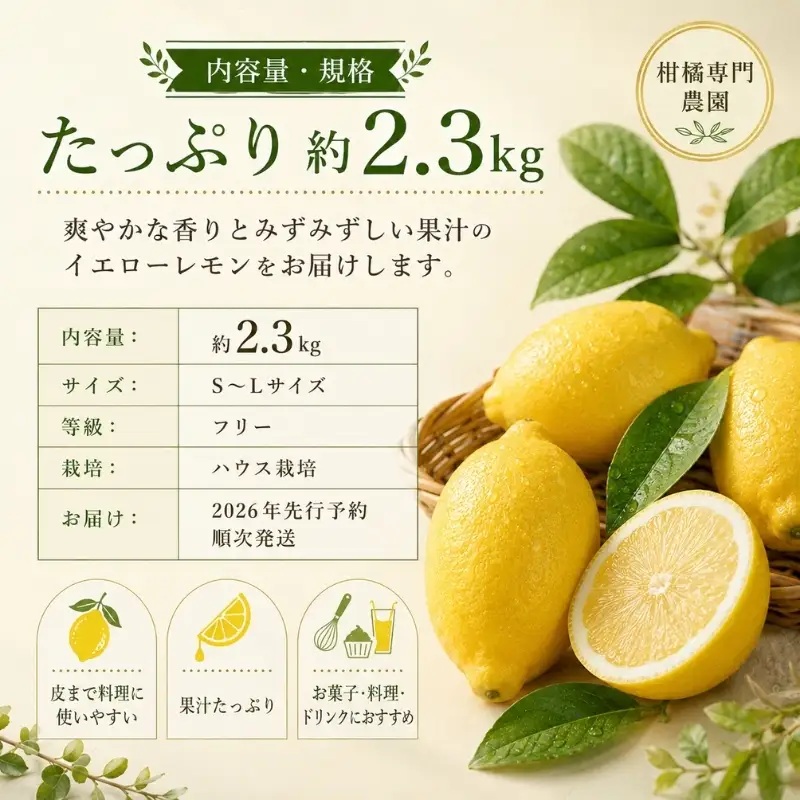 みどり認定 ハウス栽培イエローレモン 2.3kg 国産レモン 香川 柑橘類 レモン