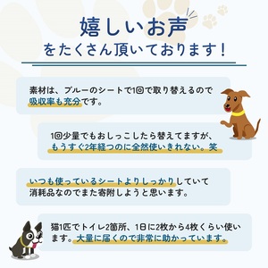 ペットシーツ わんわんサラ・シート レギュラー 犬用 ペットシーツ【200枚×4袋】