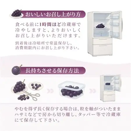 岡山県産　ピオーネ2kg箱(3～4房)_果物・フルーツ ぶどう・マスカット  ブドウ 葡萄 _【配送不可地域：離島】【1112963】