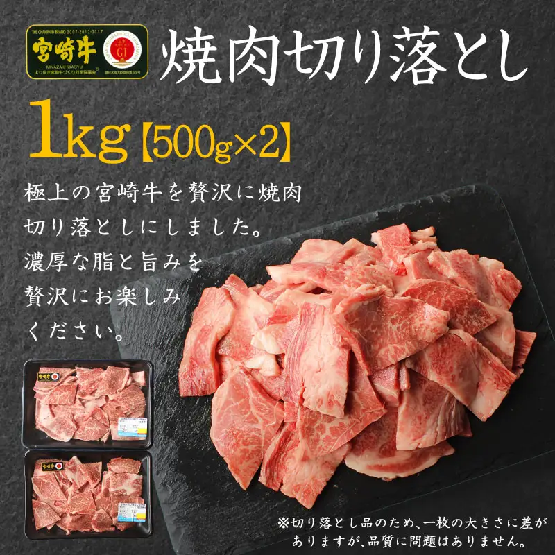 宮崎牛 焼肉 切り落とし 合計1kg（500g×2P）ウデ 牛肉 切り落し 切落し BBQ 国産 普段使い 九州産【C269-30】