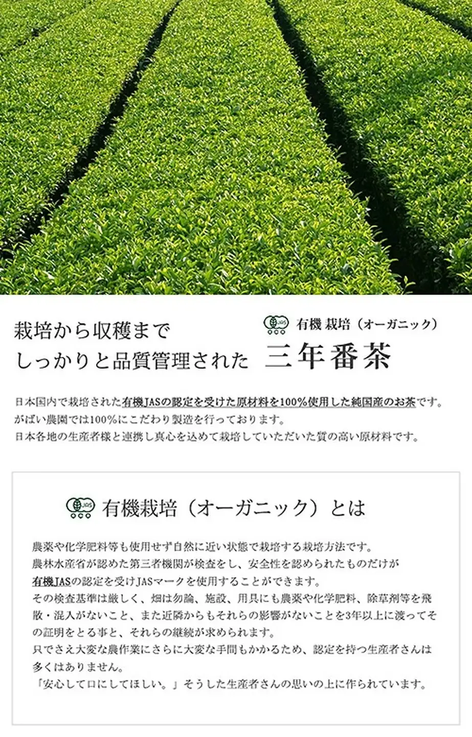 有機栽培 三年番茶 3個セット 番茶：B220-004