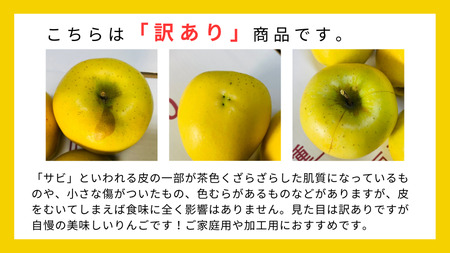 【訳あり】青森りんご田子の家庭用シナノゴールド 約10kg （1月出荷）