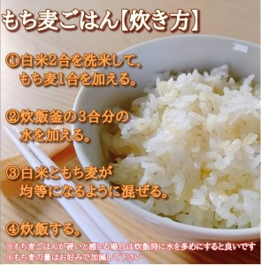 CIB91_佐賀県産『もち麦』２㎏(１㎏×２袋) 【キラリモチ】