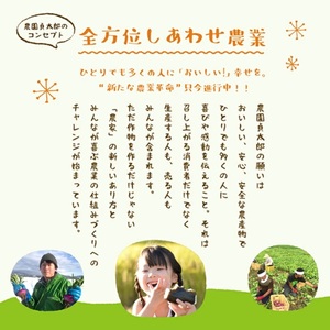 SA0587　SHONAI PRIDE　季節のこだわり野菜セット
