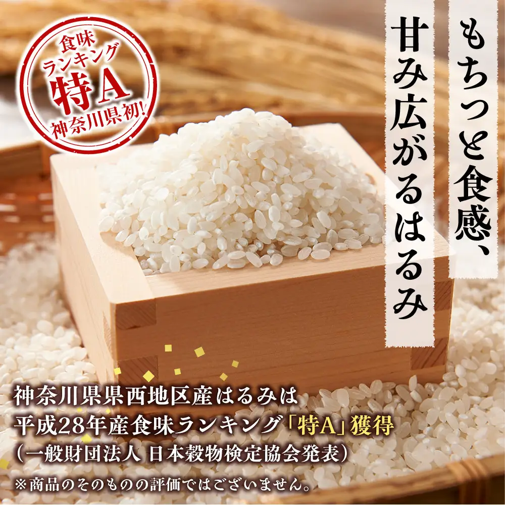 志村屋米穀店 令和7年産小田原市産　はるみ  5kg