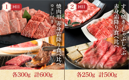 定期便 飛騨牛 4回 食べ比べ 牛肉  [S091_re] 定期便