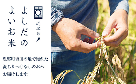 令和6年産　よしだのよいお米 近江米キヌヒカリ5kg×2 