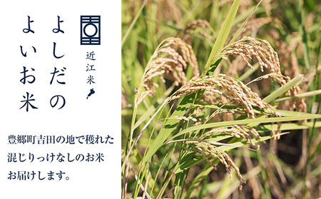 令和6年産　よしだのよいお米 近江米みずかがみ5kg×2 