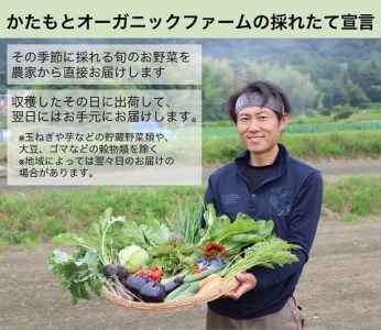 京都府・亀岡産 無農薬・自然栽培で育てた体も心も喜ぶ、かたもとオーガニックファームの季節のお野菜セット　10～20品目