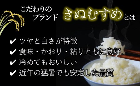 【ブランド米 きぬむすめ】精米20kg（5kg×4袋）／38.5-3