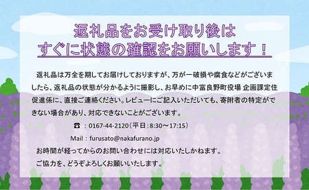 どこか農場のベリージャム四兄弟（ハスカップジャム、ブルーベリージャム、カシスジャム、アロニアジャム）＋はちみつセット【AI-002】