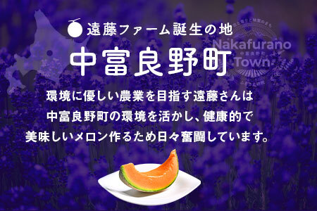 【2026年発送】【特大】遠藤ファームの中富良野メロン2玉（計4kg以上）【AX-001】