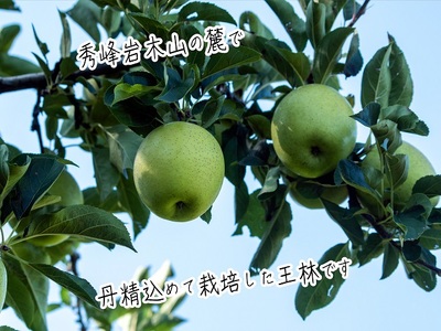 りんご 青森 王林 リンゴ 約 5kg (12～18玉) 青森県 鰺ヶ沢町産 西樹園 フルーツ 果物 果物類 白神山地 林檎