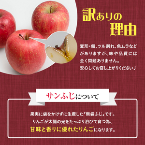 【訳あり】りんご 青森 サンふじ 約 10kg (28～36玉) リンゴ サイキチ農園 青森県 鰺ヶ沢町産 フルーツ 果物 不揃い 傷 林檎 サンフジ ふじ
