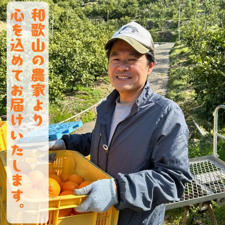 ［先行予約］有田育ちの濃厚 不知火（訳あり 家庭用）2.5kg［MS40］