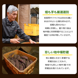 さつまいも 訳あり 3種 約10kg 紅はるか シルクスイート 安納芋 サツマイモ IB084-009