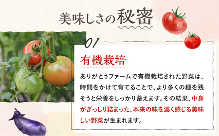 《先行受付 令和8年産》野菜3回定期便 無農薬栽培  6～7品 