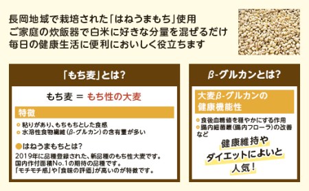 G8-24新潟県産はねうまもち（もち麦）500g×6袋入