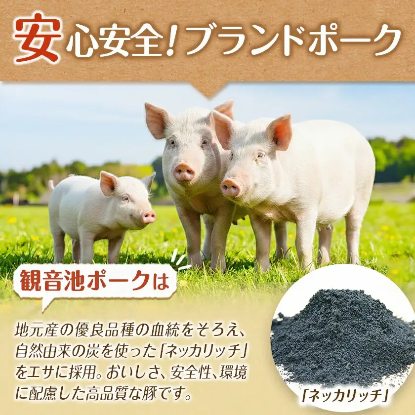 観音池ポーク100％ミンチ3kg(真空)〔13-1504〕 _ (都城市) 銘柄豚肉 500g×6パック 冷凍 ブランドポーク 国産