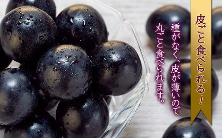 ナガノパープル 2kg 3～5房 ぶどう ナガノパープル