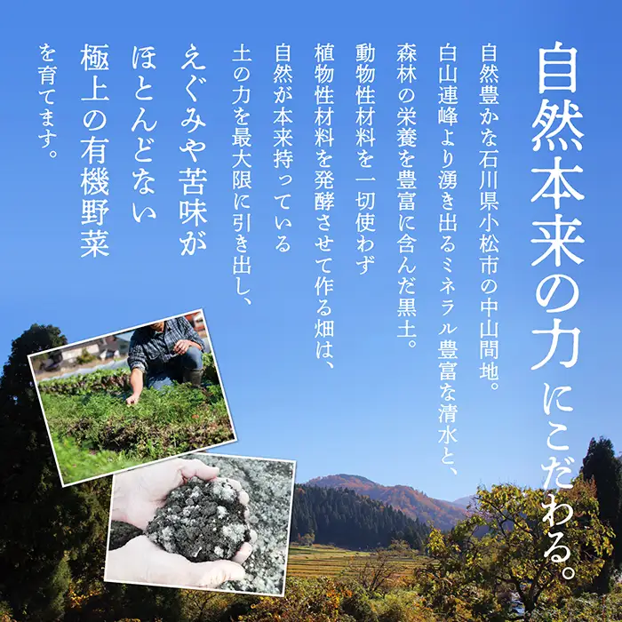 有機野菜 定期便 3ヶ月 有機野菜